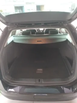 
Volkswagen Passat Executive full									